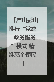 眉山彭山推行“党建+政务服务”模式 精准惠企便民