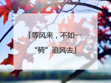 等风来，不如一“骑”追风去