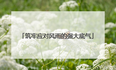 筑牢应对风雨的强大底气