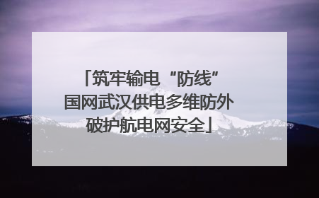 筑牢输电“防线” 国网武汉供电多维防外破护航电网安全
