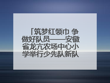 筑梦红领巾 争做好队员——安徽省龙亢农场中心小学举行少先队新队员入队仪式