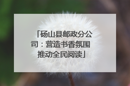 砀山县邮政分公司：营造书香氛围 推动全民阅读