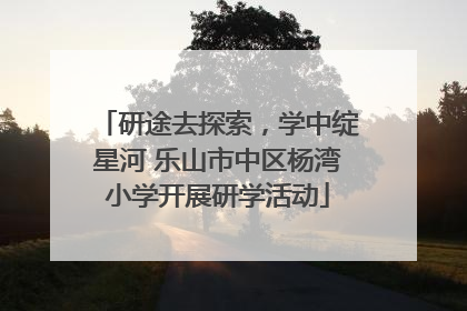 研途去探索，学中绽星河 乐山市中区杨湾小学开展研学活动