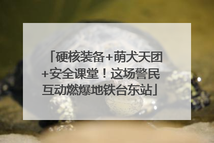 硬核装备+萌犬天团+安全课堂！这场警民互动燃爆地铁台东站