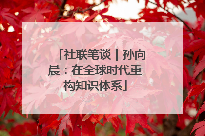 社联笔谈｜孙向晨：在全球时代重构知识体系
