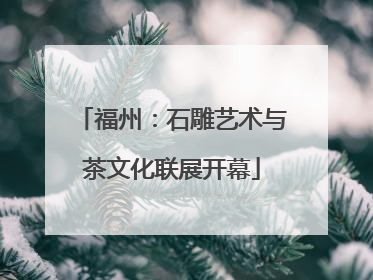 福州：石雕艺术与茶文化联展开幕