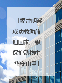 福建明溪成功救助放归国家一级保护动物中华穿山甲