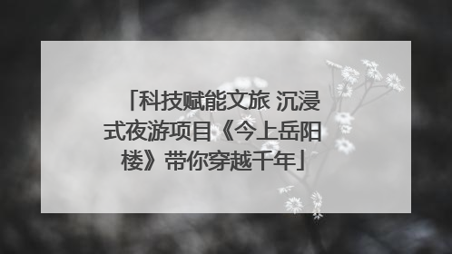 科技赋能文旅 沉浸式夜游项目《今上岳阳楼》带你穿越千年