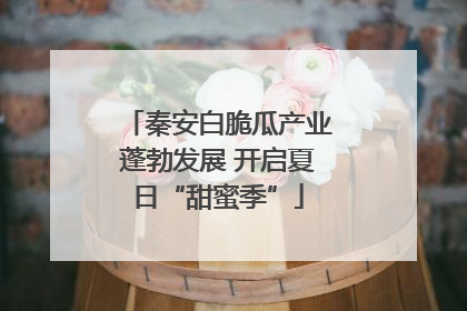 秦安白脆瓜产业蓬勃发展 开启夏日“甜蜜季”