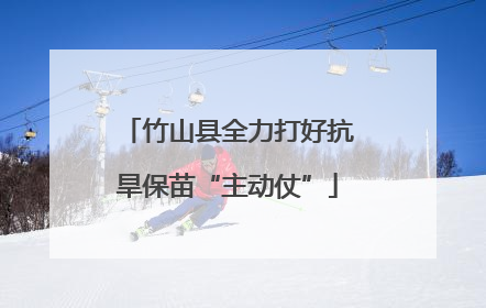 竹山县全力打好抗旱保苗“主动仗”