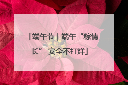 端午节｜端午“粽情长” 安全不打烊