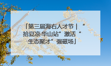 第三届海右人才节｜“拾夏凉·华山站”激活“生态聚才”强磁场