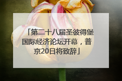第二十八届圣彼得堡国际经济论坛开幕，普京20日将致辞