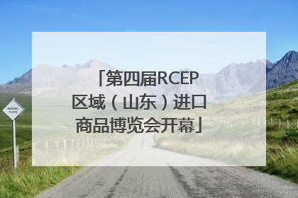 第四届RCEP区域（山东）进口商品博览会开幕
