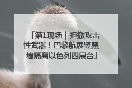 第1现场｜拒撤攻击性武器！巴黎航展竖黑墙隔离以色列四展台