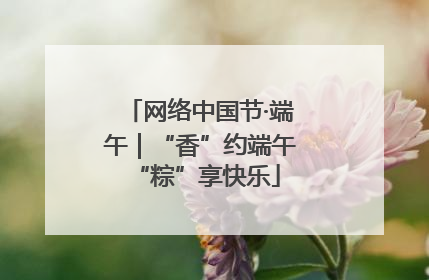 网络中国节·端午｜“香”约端午 “粽”享快乐