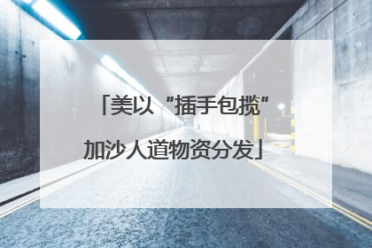 美以“插手包揽”加沙人道物资分发