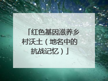 红色基因滋养乡村沃土（地名中的抗战记忆）