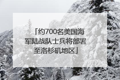 约700名美国海军陆战队士兵将部署至洛杉矶地区