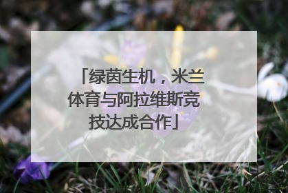 绿茵生机，米兰体育与阿拉维斯竞技达成合作