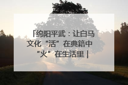 绵阳平武：让白马文化“活”在典籍中 “火”在生活里｜新闻发布最前线