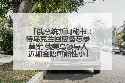 俄总统新闻秘书：待乌克兰回应备忘录草案 俄美乌领导人近期会晤可能性小
