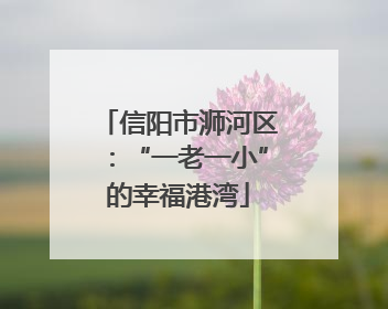 信阳市浉河区：“一老一小”的幸福港湾
