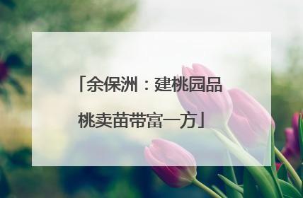 余保洲：建桃园品桃卖苗带富一方