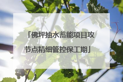 佛坪抽水蓄能项目攻节点精细管控保工期
