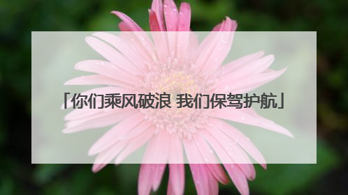 你们乘风破浪 我们保驾护航