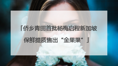侨乡青田首批杨梅启程新加坡 保鲜提质售出“金果果”