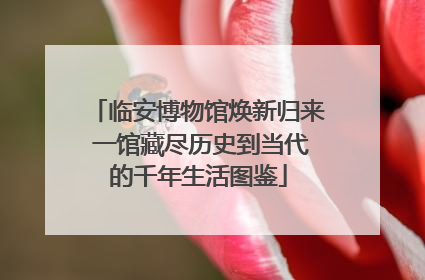 临安博物馆焕新归来 一馆藏尽历史到当代的千年生活图鉴