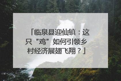 临泉县迎仙镇：这只“鸡”如何引领乡村经济展翅飞翔？