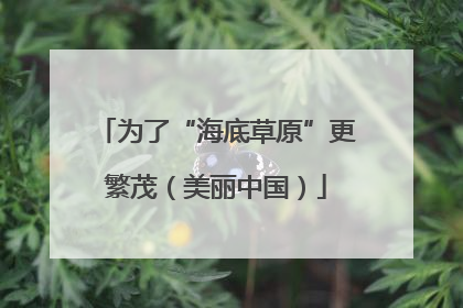 为了“海底草原”更繁茂（美丽中国）