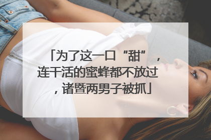 为了这一口“甜”，连干活的蜜蜂都不放过，诸暨两男子被抓