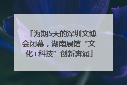 为期5天的深圳文博会闭幕，湖南展馆“文化+科技”创新奔涌