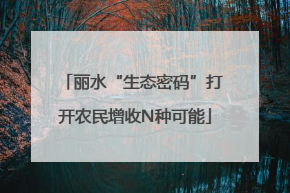 丽水“生态密码”打开农民增收N种可能