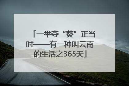 一举夺“葵”正当时——有一种叫云南的生活之365天