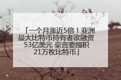 一个月涨近5倍！亚洲最大比特币持有者欲融资53亿美元 豪言要囤积21万枚比特币