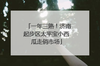 一年三熟！济南起步区太平宝小西瓜走俏市场