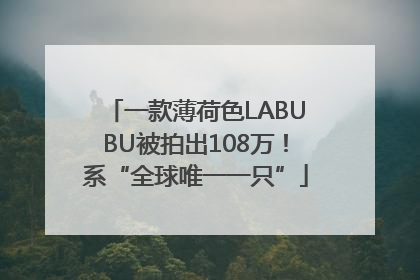 一款薄荷色LABUBU被拍出108万！系“全球唯一一只”