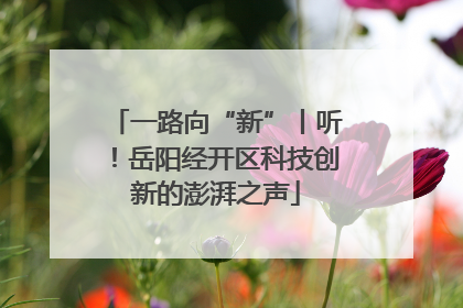 一路向“新”丨听！岳阳经开区科技创新的澎湃之声