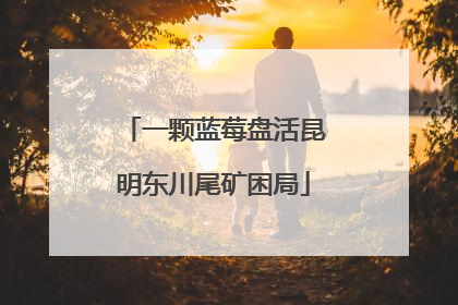 一颗蓝莓盘活昆明东川尾矿困局
