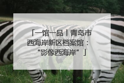 一馆一品丨青岛市西海岸新区档案馆：“影像西海岸”