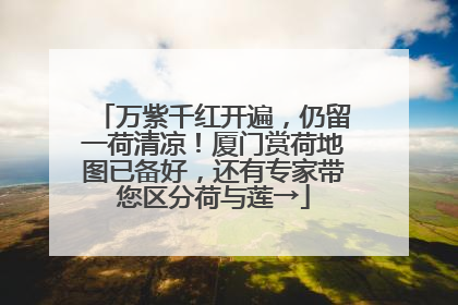 万紫千红开遍，仍留一荷清凉！厦门赏荷地图已备好，还有专家带您区分荷与莲→