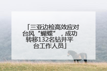 三亚边检高效应对台风“蝴蝶”，成功转移132名钻井平台工作人员