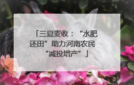 三夏麦收：“水肥还田”助力河南农民“减投增产”