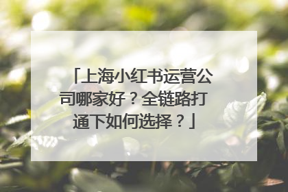 上海小红书运营公司哪家好？全链路打通下如何选择？