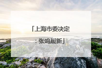 上海市委决定：张鸣履新