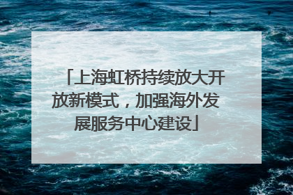 上海虹桥持续放大开放新模式，加强海外发展服务中心建设